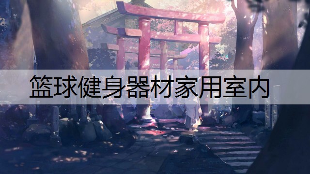 篮球健身器材家用室内