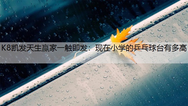 K8凯发天生赢家一触即发：现在小学的乒乓球台有多高
