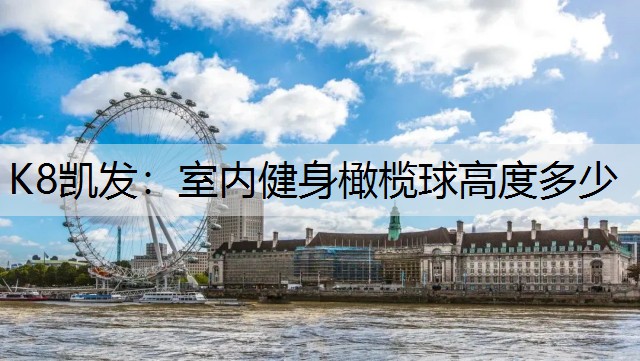 K8凯发：室内健身橄榄球高度多少