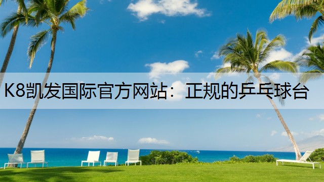 K8凯发国际官方网站：正规的乒乓球台