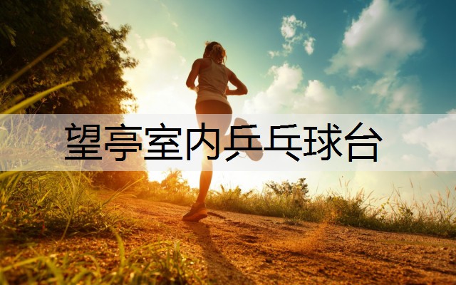 望亭室内乒乓球台