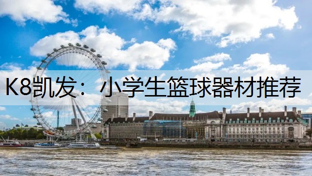 K8凯发：小学生篮球器材推荐