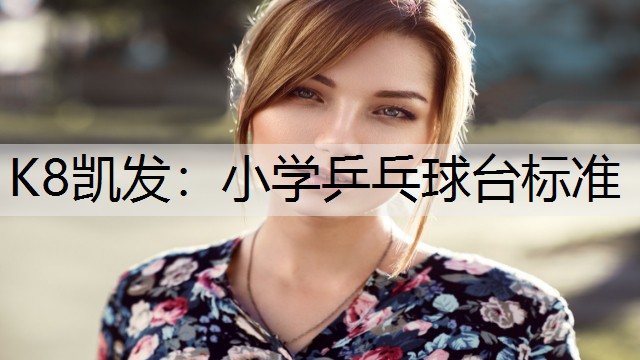 K8凯发：小学乒乓球台标准