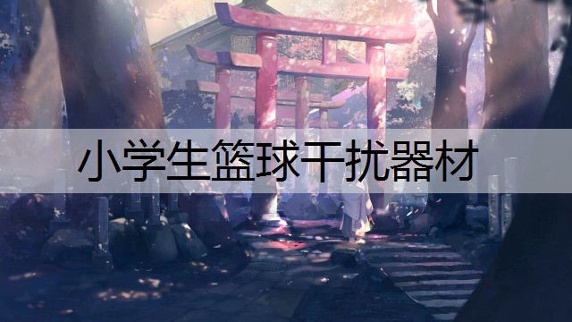 小学生篮球干扰器材