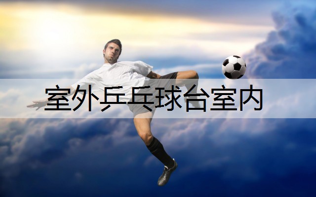室外乒乓球台室内