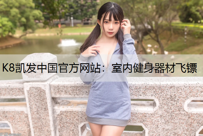 K8凯发中国官方网站：室内健身器材飞镖