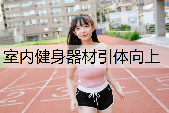 室内健身器材引体向上