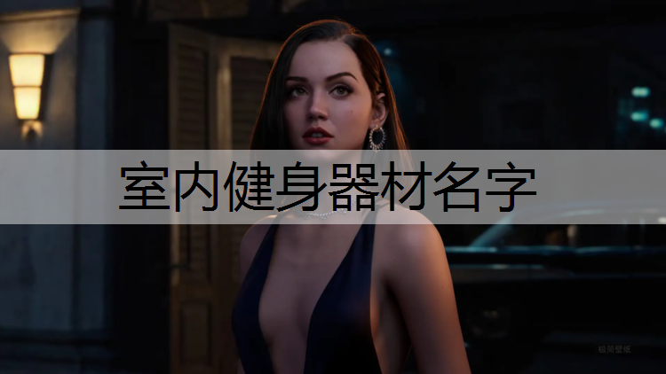 室内健身器材名字
