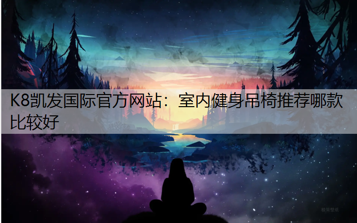 K8凯发国际官方网站：室内健身吊椅推荐哪款比较好