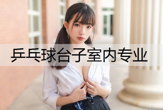 乒乓球台子室内专业