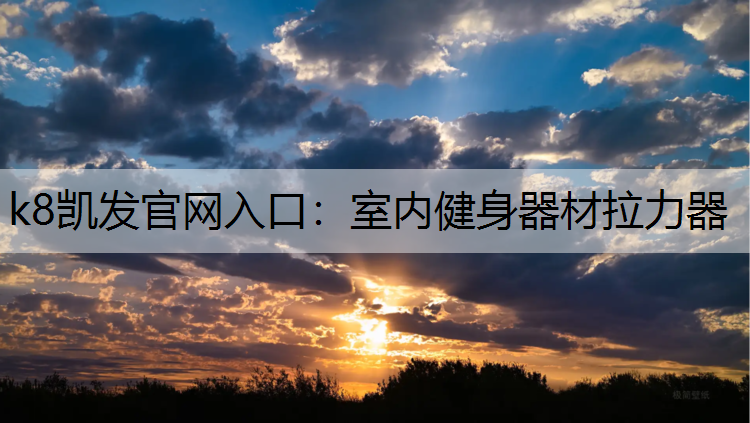 k8凯发官网入口：室内健身器材拉力器