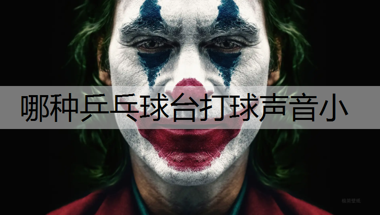 哪种乒乓球台打球声音小