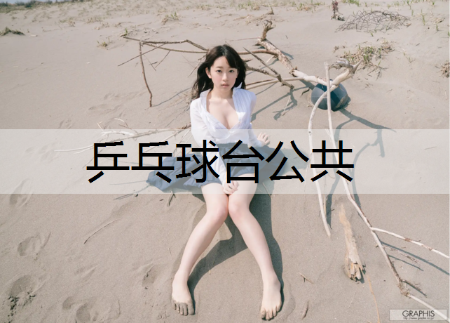 乒乓球台公共