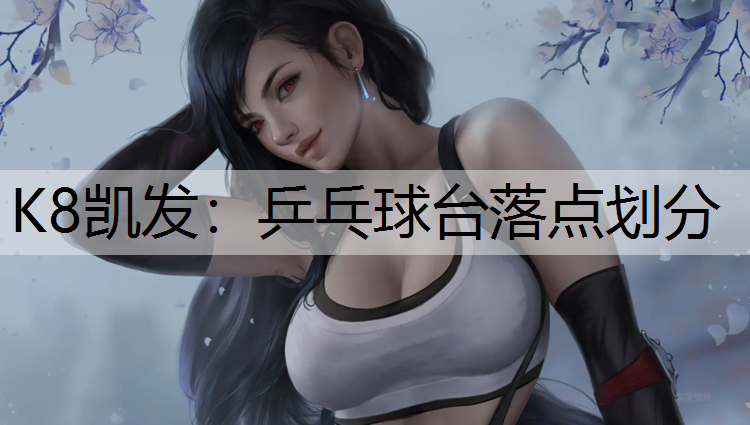 K8凯发：乒乓球台落点划分