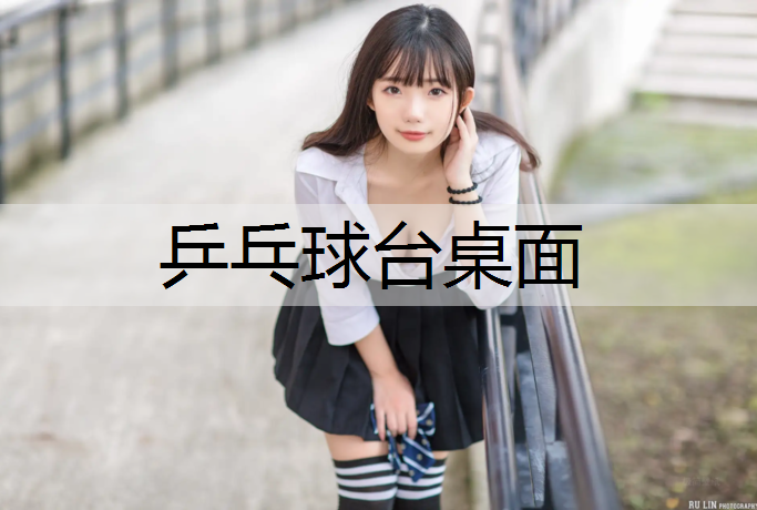 乒乓球台桌面