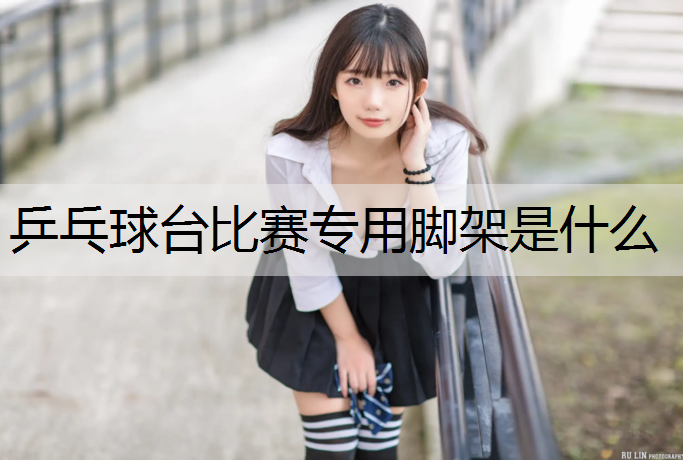乒乓球台比赛专用脚架是什么