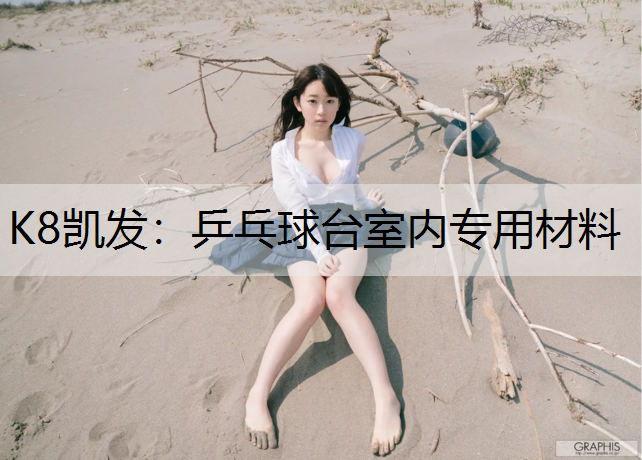 K8凯发：乒乓球台室内专用材料