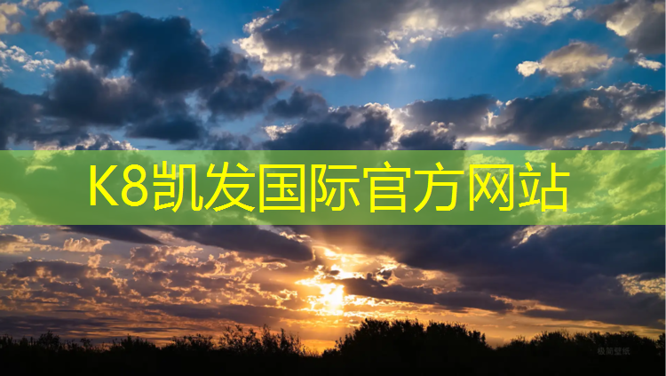 K8凯发：预制型塑胶跑道花纹效果图