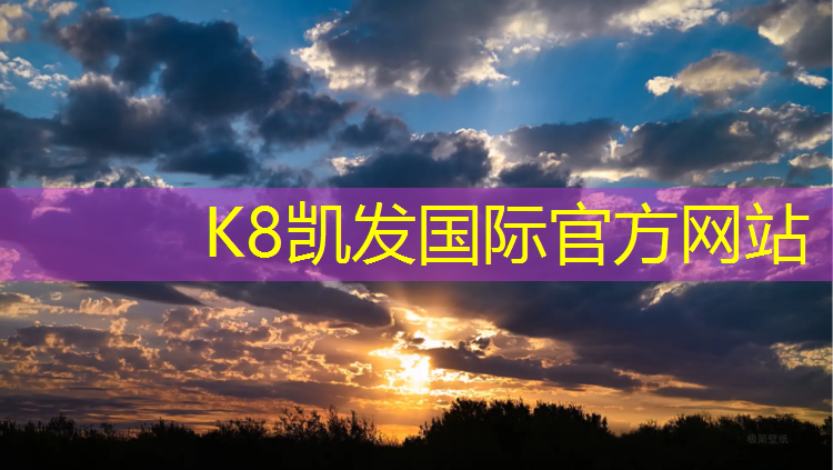 K8凯发天生赢家一触即发：塑胶跑道需求渠道分析论文