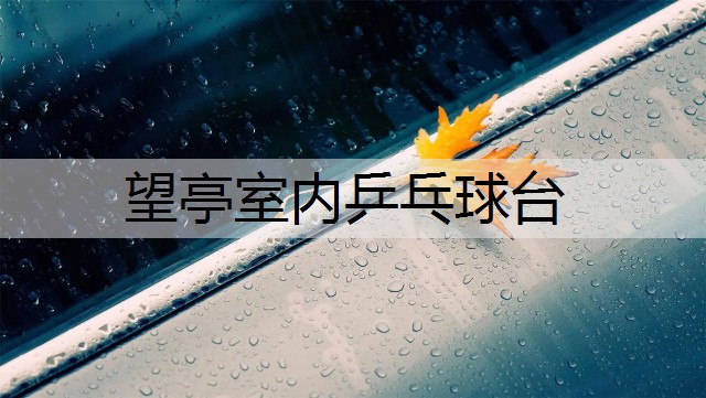 望亭室内乒乓球台