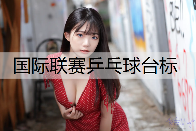 国际联赛乒乓球台标