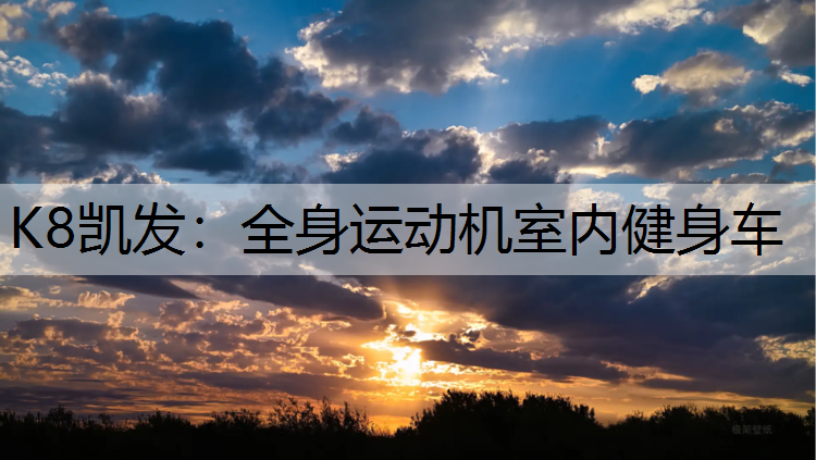 全身运动机室内健身车
