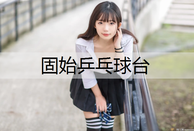 固始乒乓球台