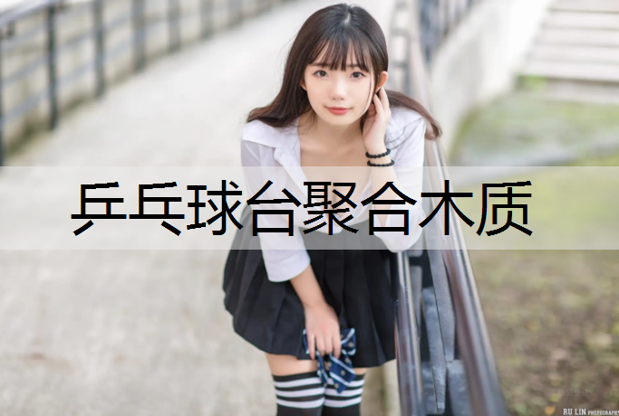 乒乓球台聚合木质