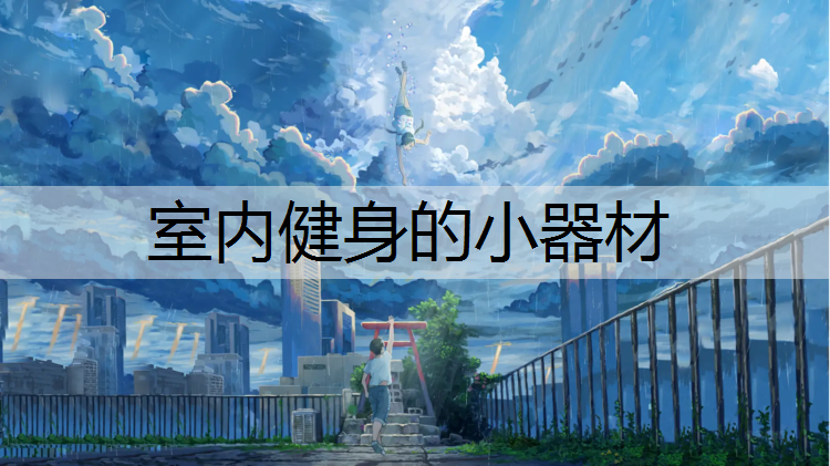 室内健身的小器材