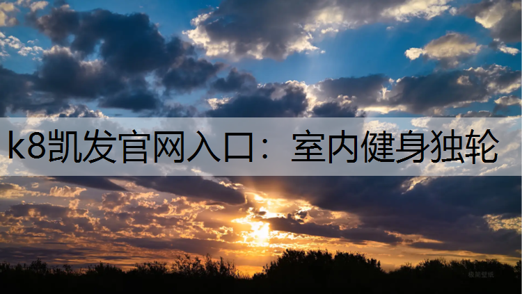 室内健身独轮