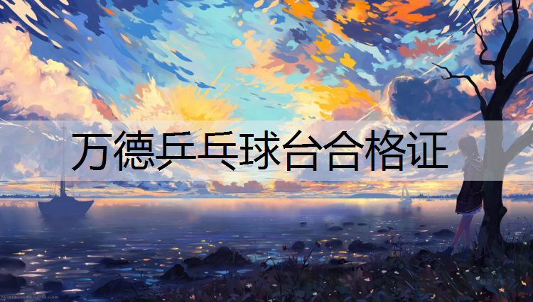万德乒乓球台合格证