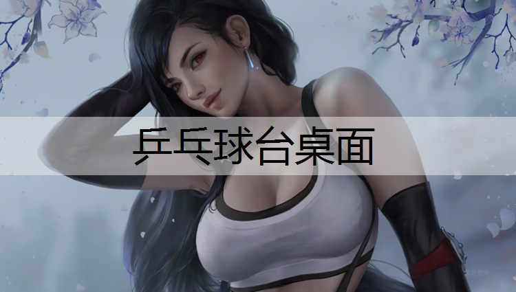 乒乓球台桌面 乒乓球台桌面