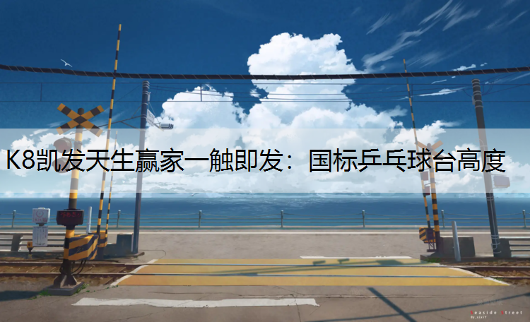 国标乒乓球台高度