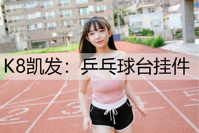 乒乓球台挂件