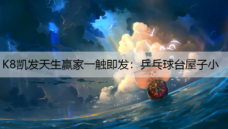 乒乓球台屋子小