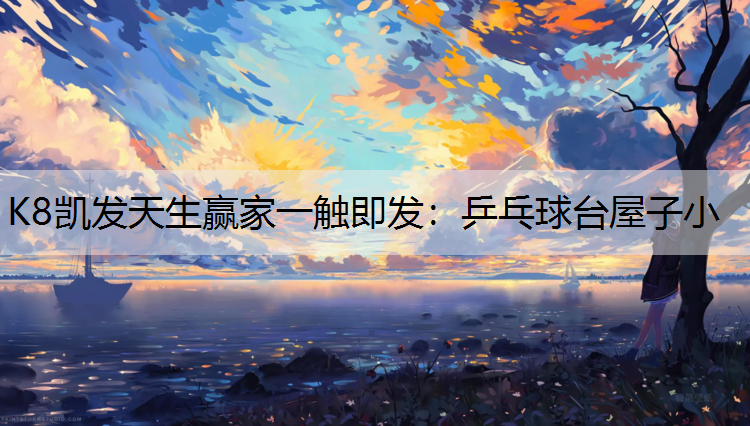 乒乓球台屋子小